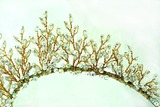 Bridal Tiaras