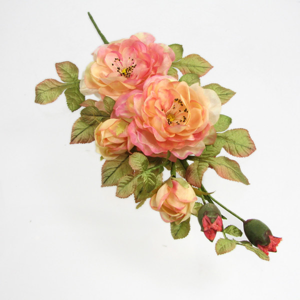 Tudor Spray Rose