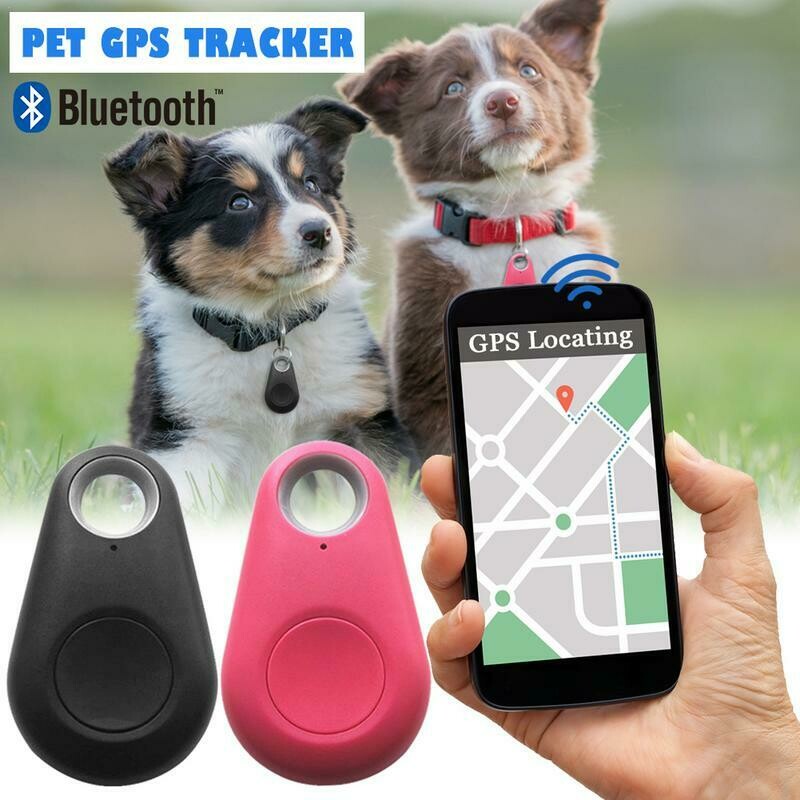 Pets GPS Tracker &amp; Activity Monitor