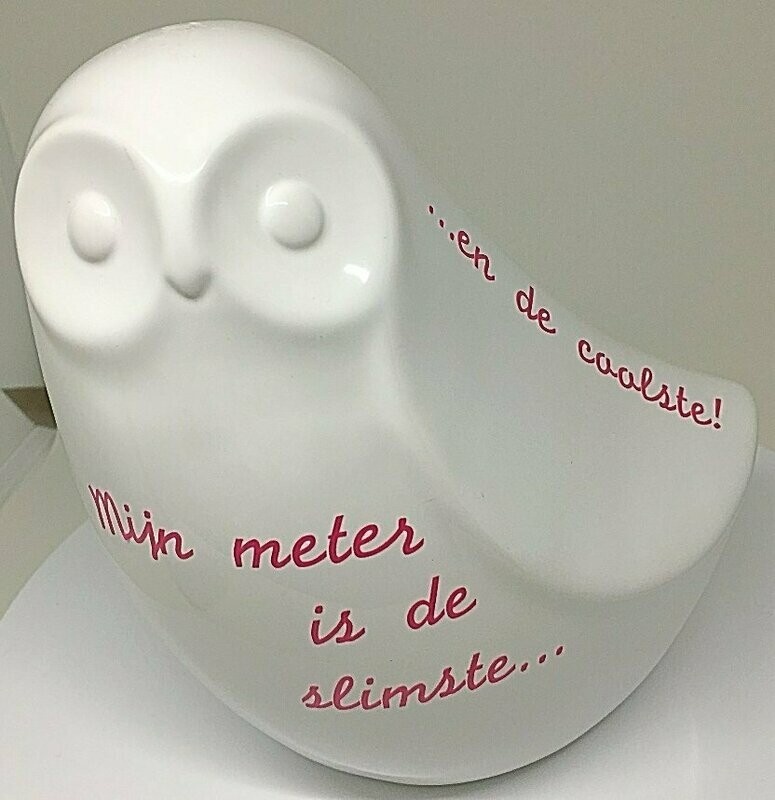 Uil 'Slimste en coolste meter'