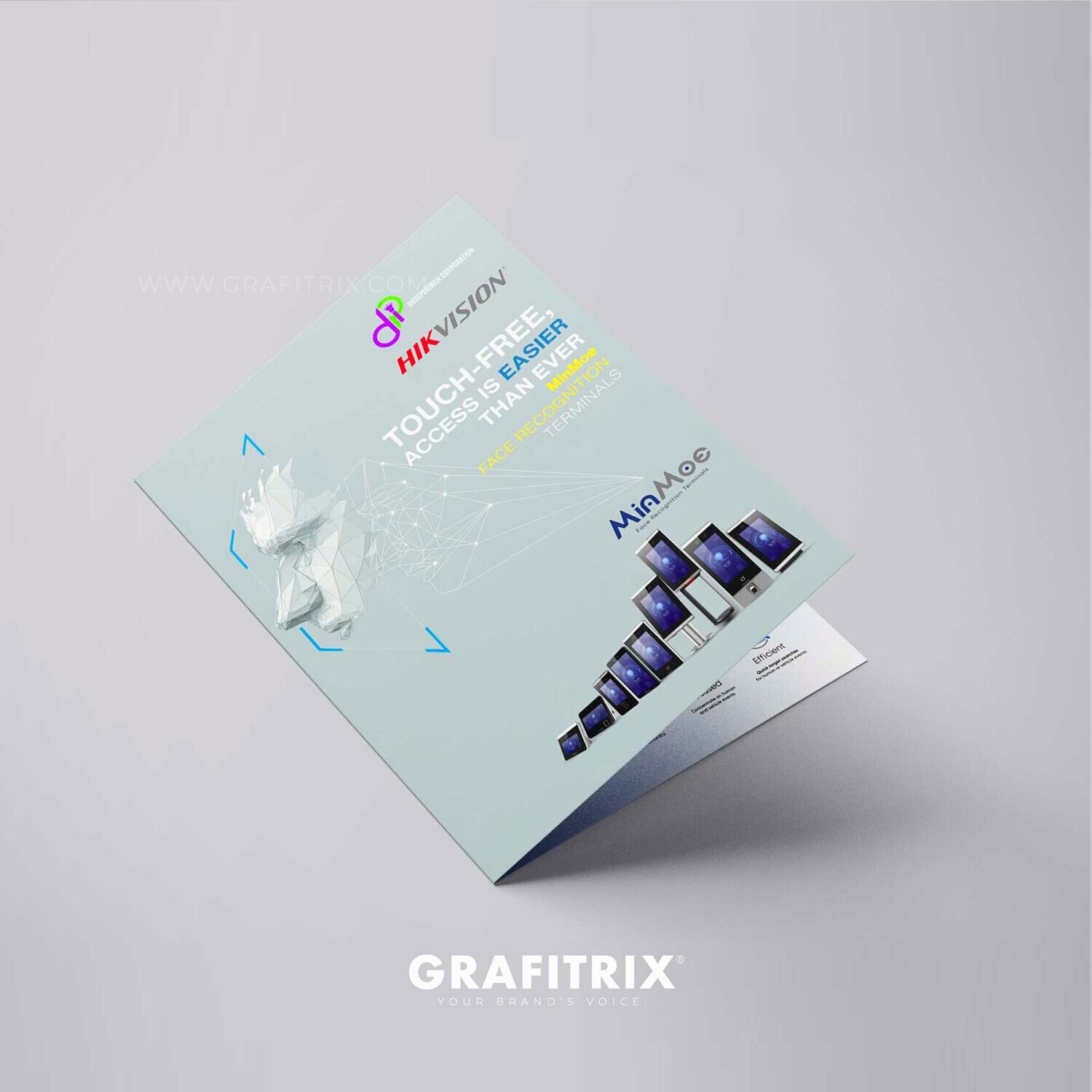 Brochure / Flyer Design