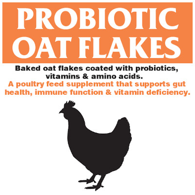 Probiotic Oat Flakes N00270W