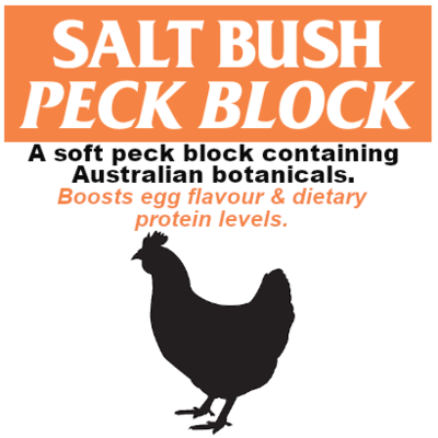 Salt Bush Peck Block N000010W