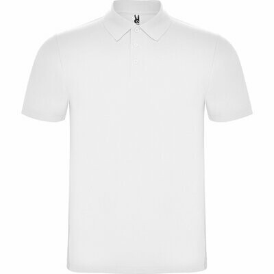 Polo Austral