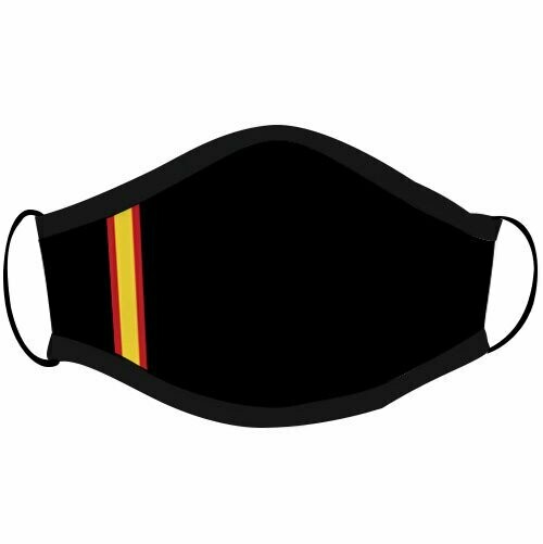 Mascarilla España