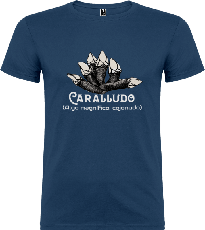 Camiseta  Caralludo Azul