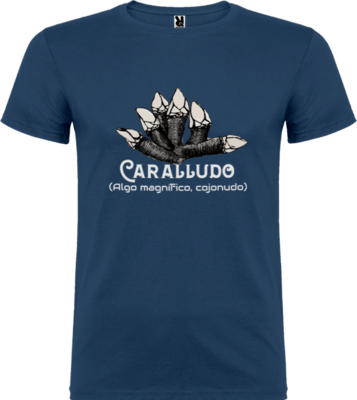 Camiseta  Caralludo Azul