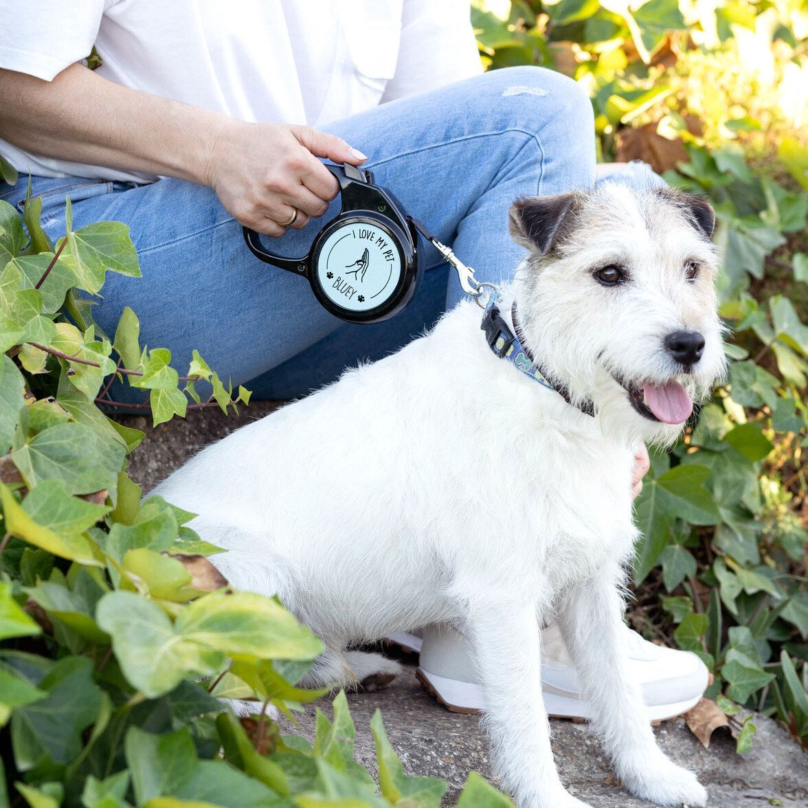 Correa  para perro extensible personalizada