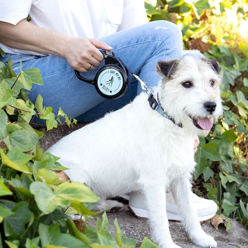 Correa  para perro extensible personalizada