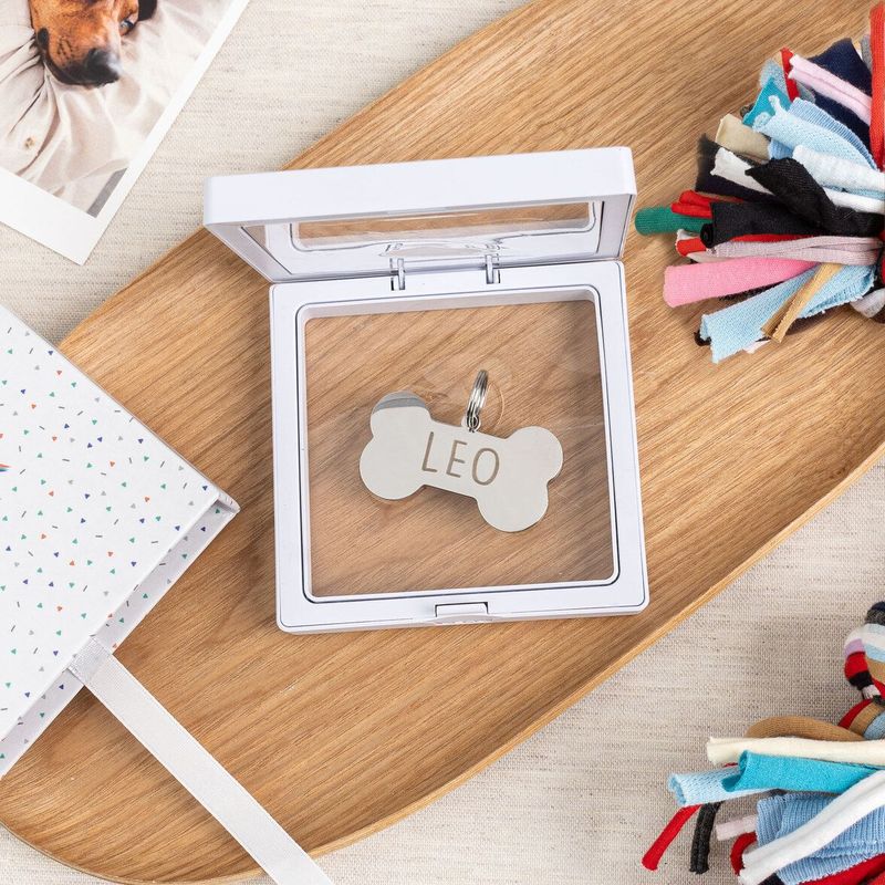 Chapas para mascotas personalizadas identificativas