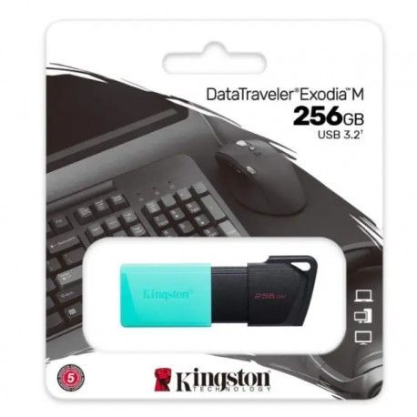 Usb Kingston Z806 256 GB 3.0