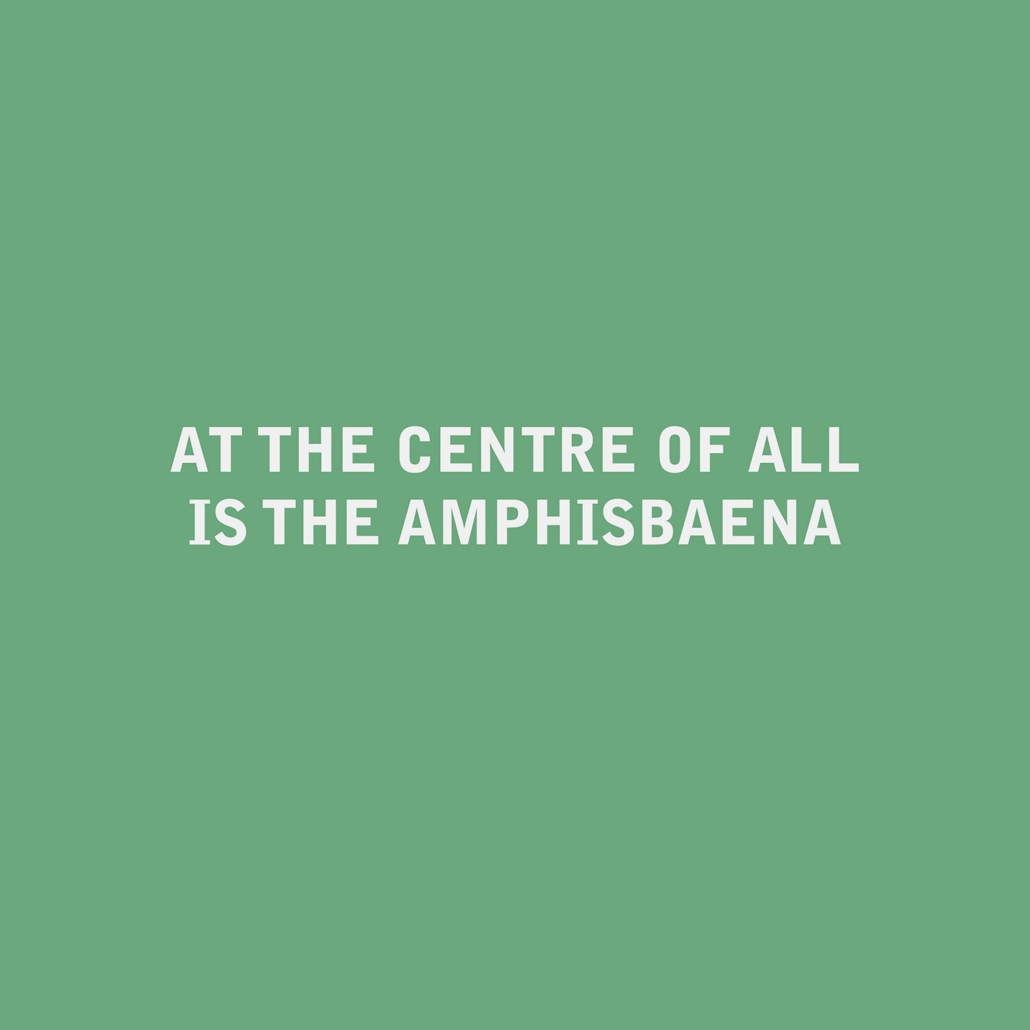 title: amphisbaena
