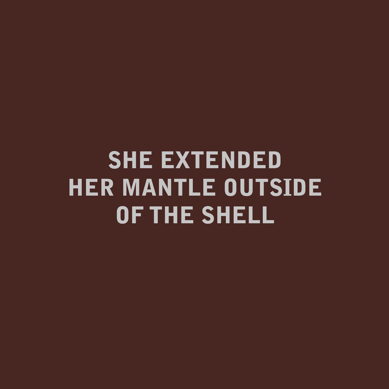 title: mantle