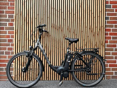 Raleigh E-Bike Impulse Motor 26 Zoll Damen Cityfahrrad 8-Gang mit Rücktritt