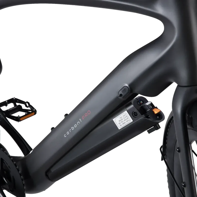 Batterie - Carbon 1 Pro