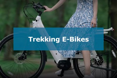 Trekking E-Bikes