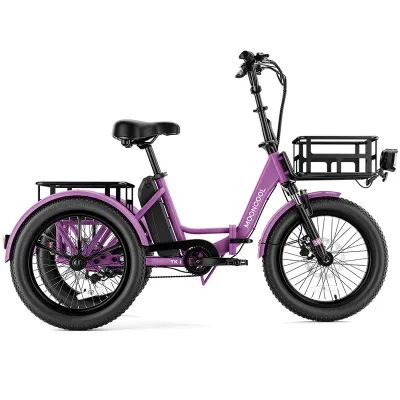Mooncool TK1 Faltbares E-Dreirad mit Freilauf Lila Mooncool TK1 Faltbares E-Dreirad mit Freilauf Lila