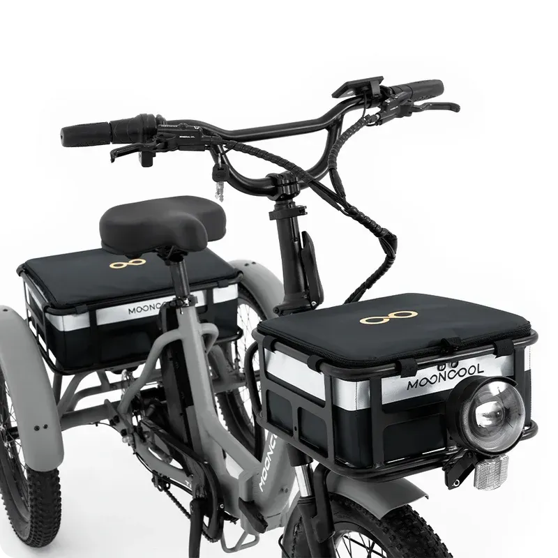 Mooncool E-Dreirad Taschen vorne und hinten