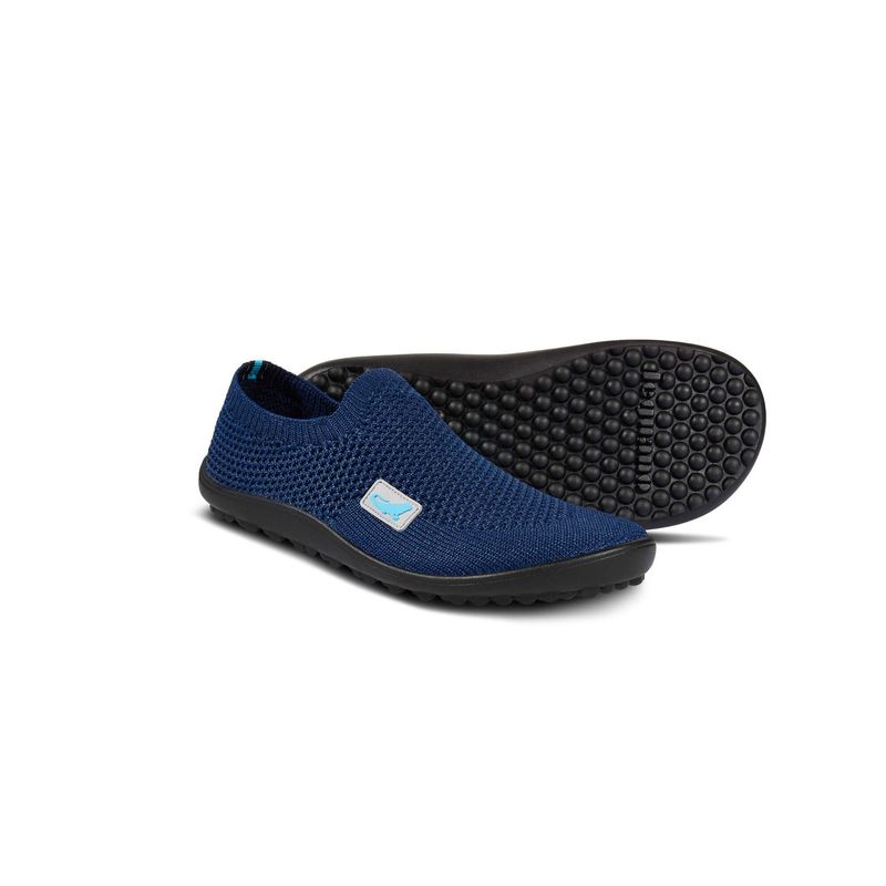 leguanito scio blau