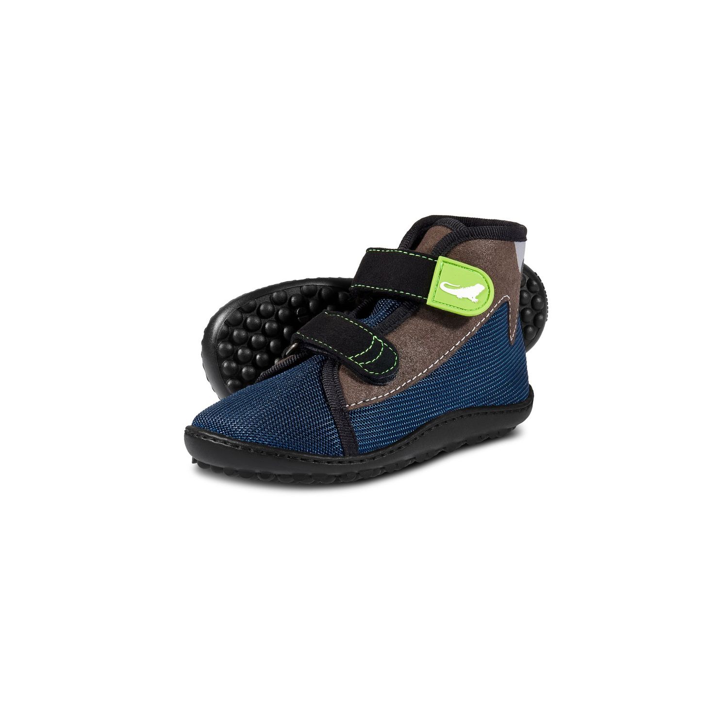leguanito scippo blau