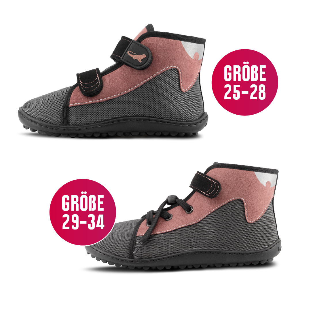 leguanito scippo rose
