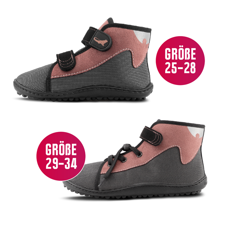 leguanito scippo rose