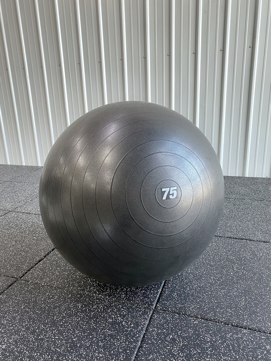 Physio Ball