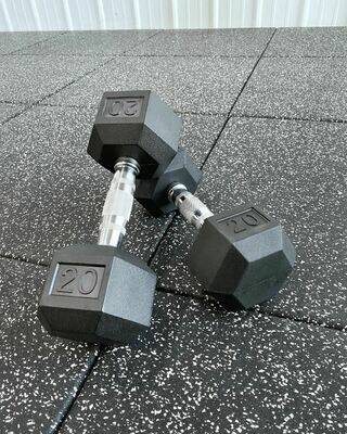 55LB Dumbbell (Pair)