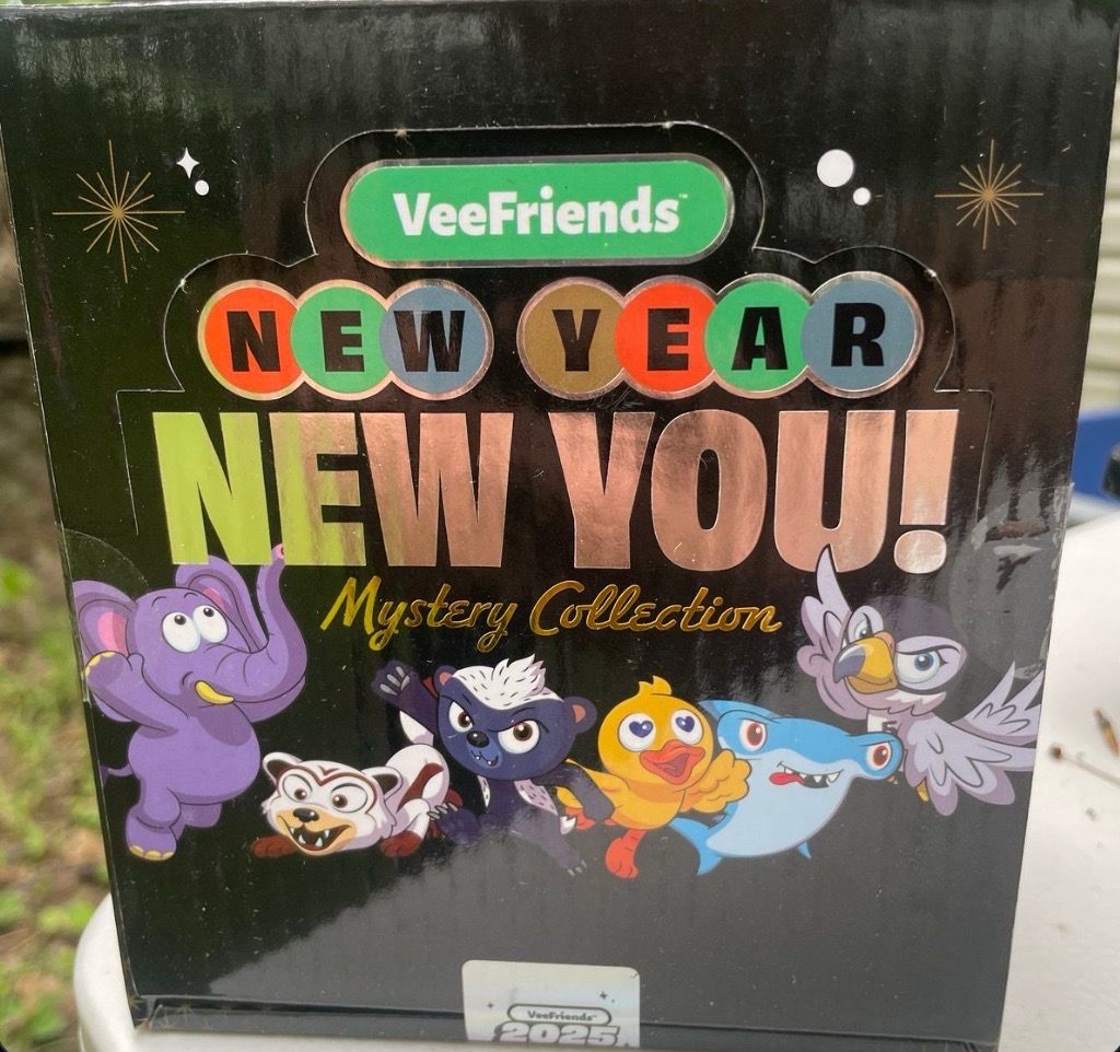 New Year Pin Case