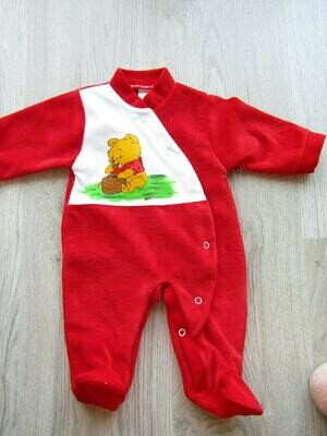 Fatinho Winnie the pooh