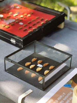 Bijoux éco-responsables en bois ?