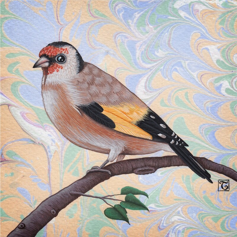 Golden Finch on marbled background