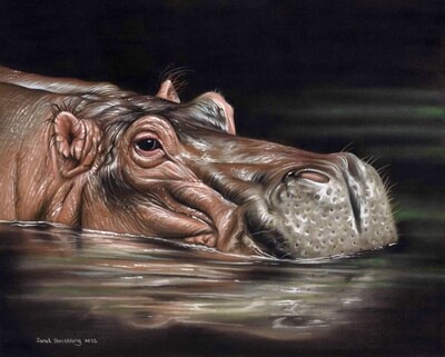Hippo pastel drawing