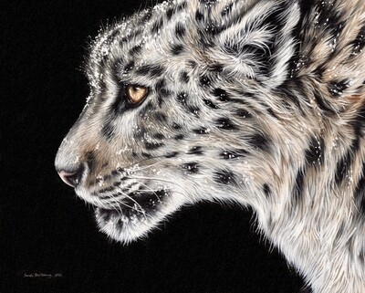 Snow Leopard oil painting