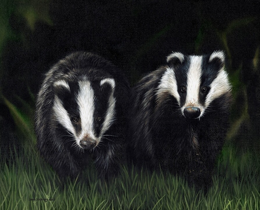 European Badgers Original Oil Painting