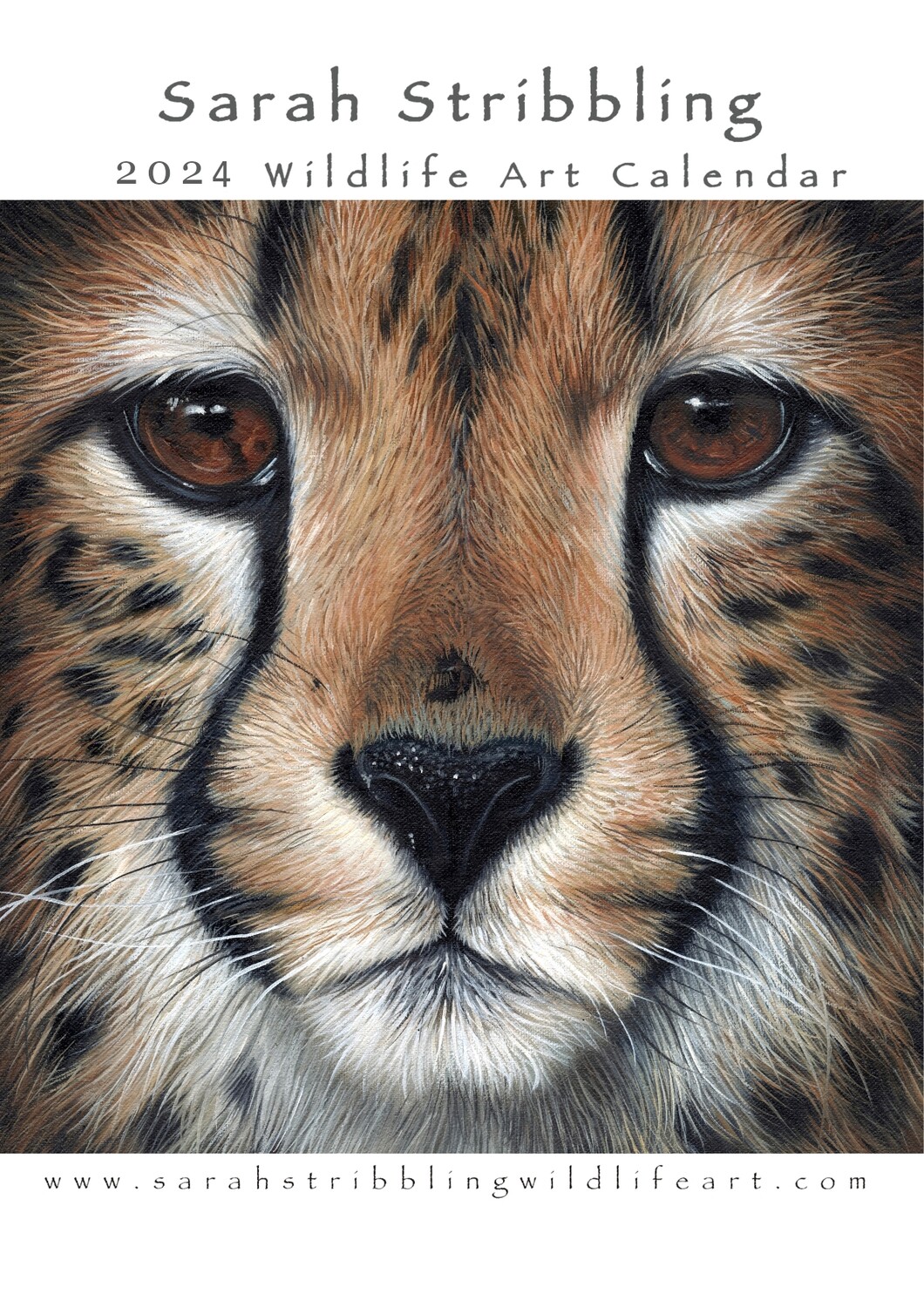 2024 Wildlife Art Calendar USA and CANADA ONLY