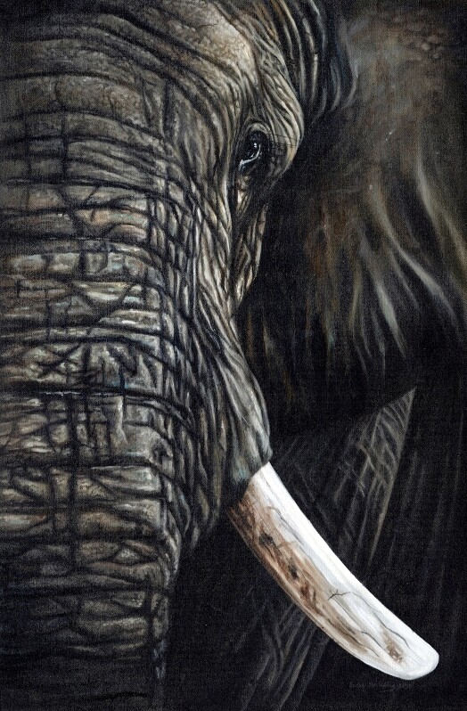 African Elephant oil painting *SALE*