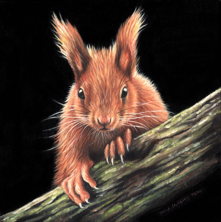 Red Squirrel oil painting *SALE* OVER 50% OFF!