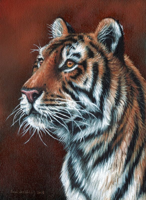 Bengal Tiger oil *SALE*