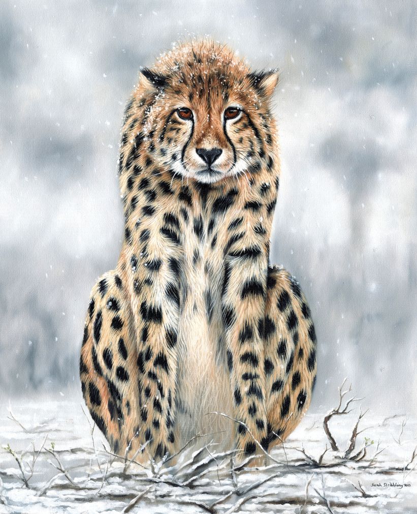 Snow Cheetah Original oil painting
