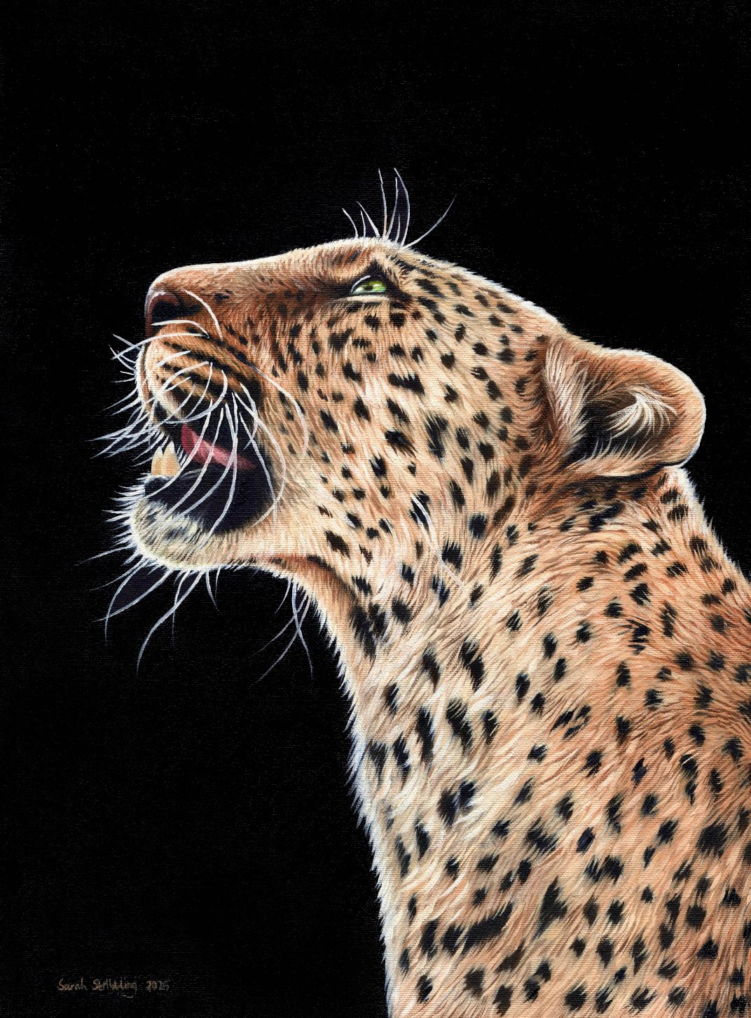 Leopard original oil painting