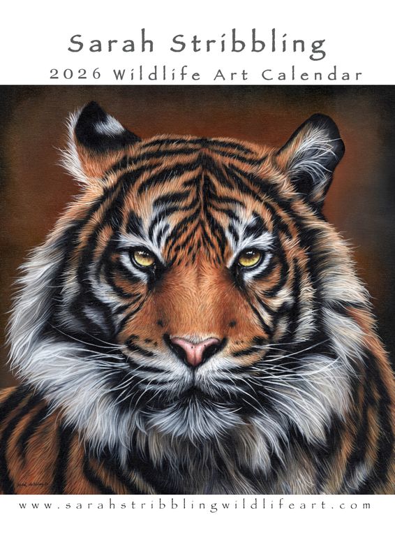 2026 Wildlife Art Calendar USA AND CANADA