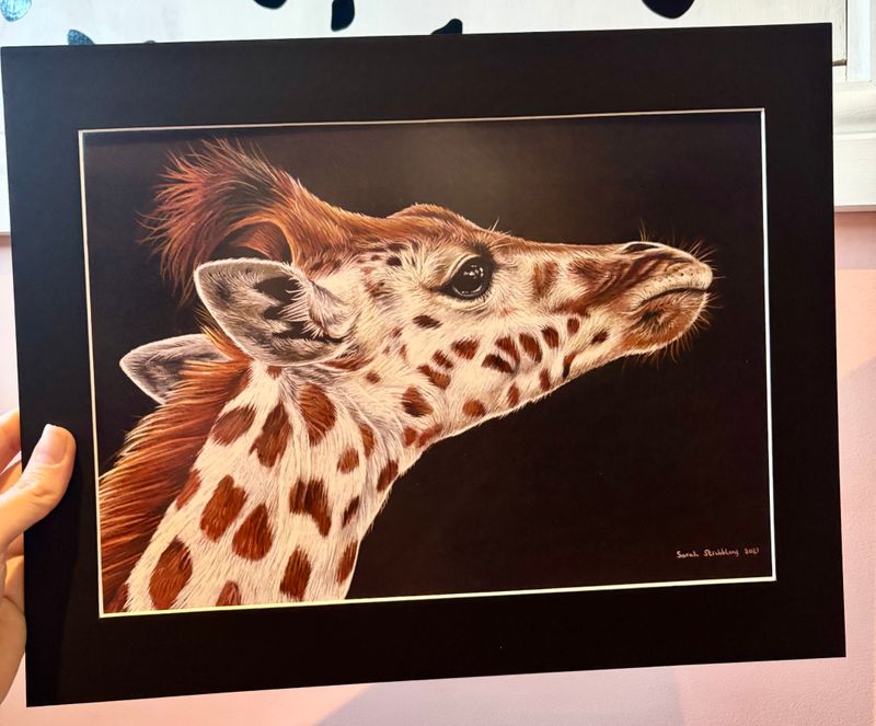 GLICEE mounted prints A4