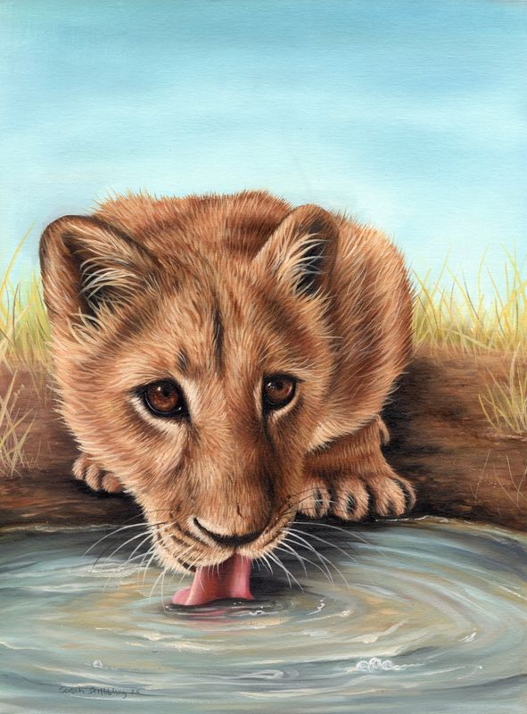 Lion Cub Original Oil Painting *BIRTHDAY SALE*
