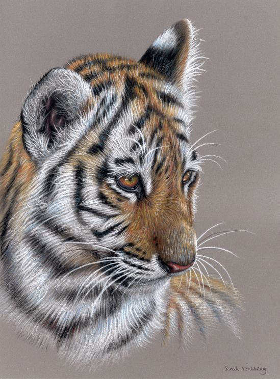Tiger Cub Pastel Drawing *Birthday sale*