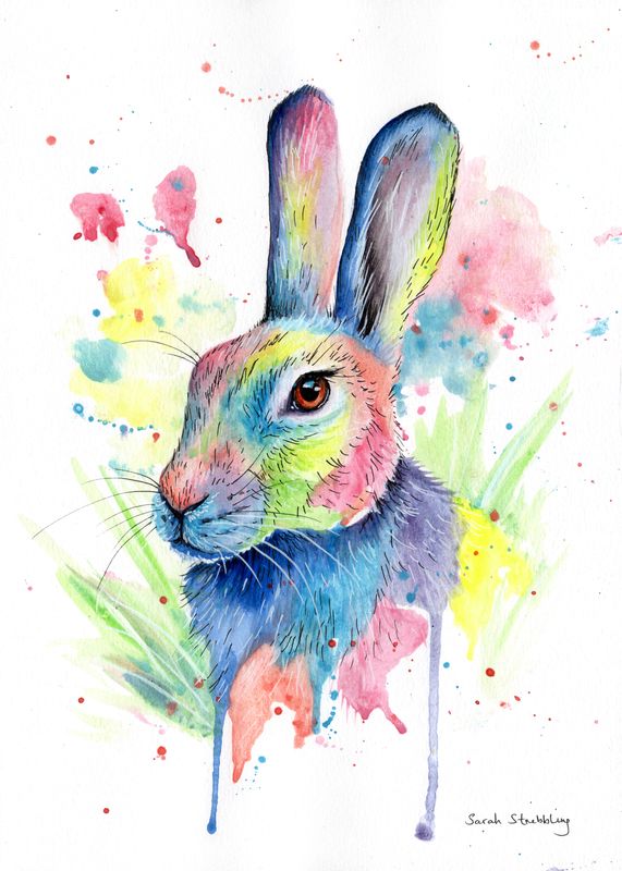 Multicolour Hare watercolour *Birthday sale*