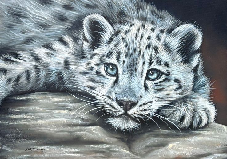 Snow Leopard Oil painting *BIRTHDAY SALE*