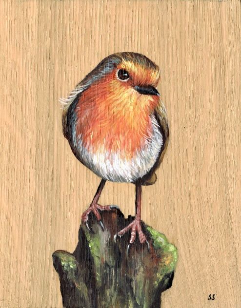 Robin oil painting on oak wood