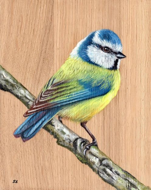 Blue tit Oil painting on oak wood