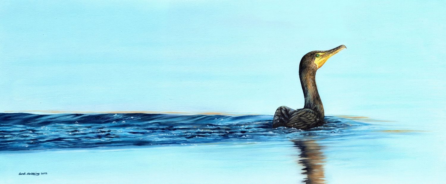 Cormorant Giclee print